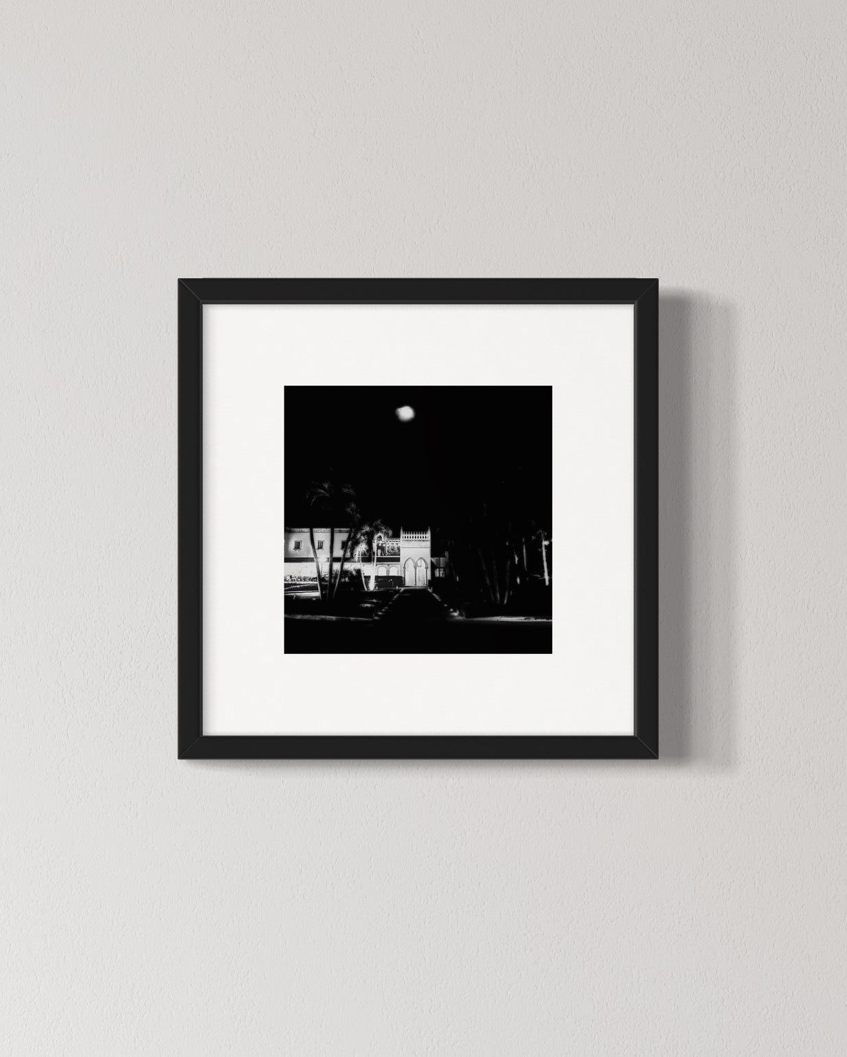 Moonlight Dream