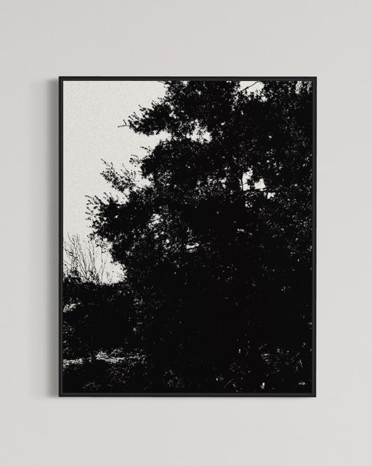 Abstraction 1
